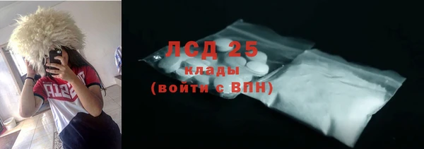 СК Алексин