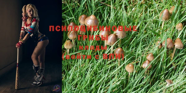кокаин перу Аркадак